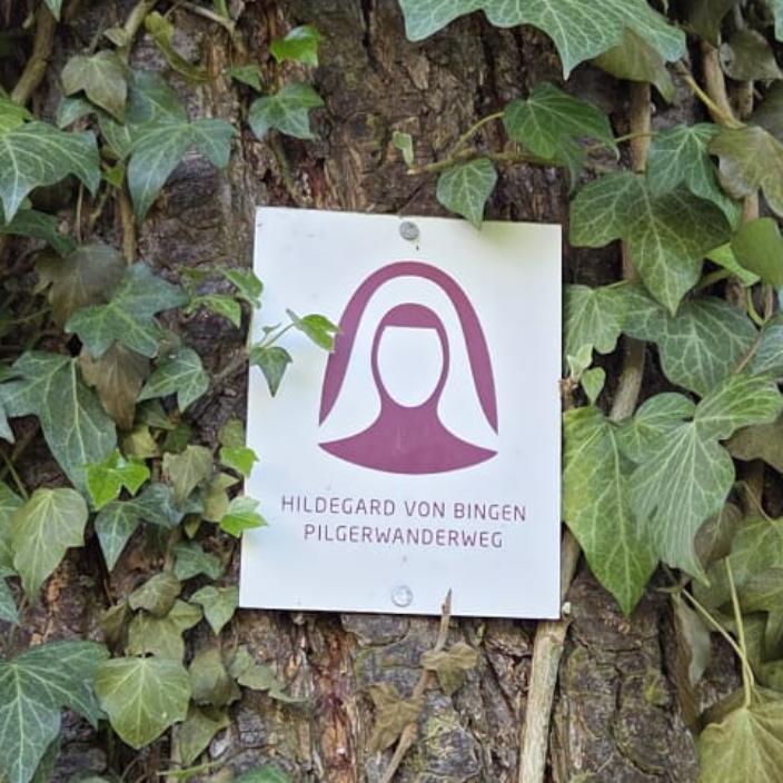 Das Bild zeigt das Wanderzeichen des Hildegard-Pilgerweges an einem efeubewachsenen Baum (c) Lisa Richter Das Bild zeigt das Wanderzeichen des Hildegard-Pilgerweges an einem efeubewachsenen Baum